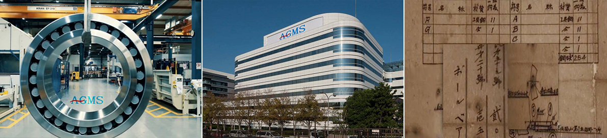 日本AGMS轴承株式会社