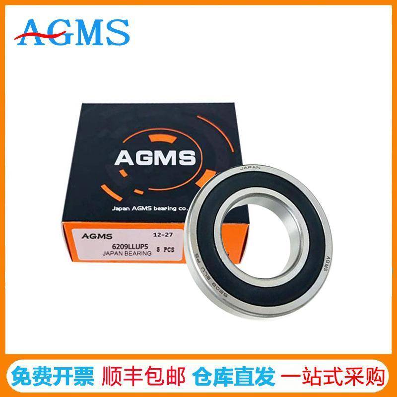 agms电机轴承